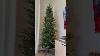 National Lampoon's Christmas Vacation 7' Fir Tree with 3K Lights (#1198 of 2050) Lighted Christmas TreeLighted Christmas Tree